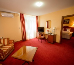 Номер люкс корпус Борвиха (с завтраком) в Борвиха hotel&SPA