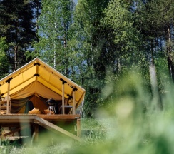 ROMANTIC PLUS в Radostland