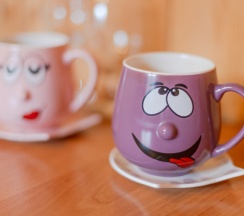 Двухместный номер в Altay Sun