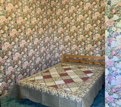 Двухместный номер Standard двуспальная кровать в 222