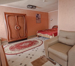 Номер стандарт с 1 двуспальной кроватью №3 в Медведь