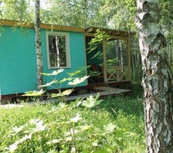 Коттедж стандарт в Лесной сон