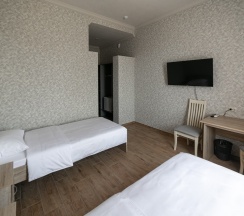 Стандарт в Петровская