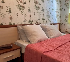 Бюджетный двухместный номер с 1 кроватью в Надежда