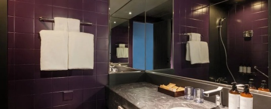 Двухместный номер Privilege 2 отдельные кровати в Mercure Tokyo Hibiya