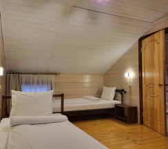 Дом в Дуплекс-дом в Дракино