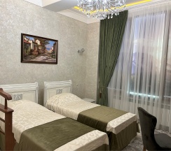 Двухместный номер с имитацией окна в Лезгинка