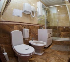 Двухместный номер Comfort двуспальная кровать в Горняк