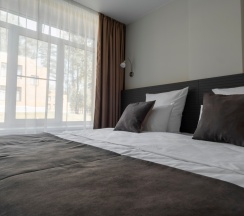 Junior Suite в Лесная ласточка
