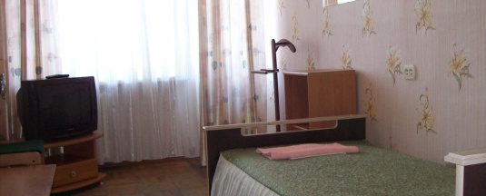 Номер стандарт с 1 односпальной кроватью в Турист