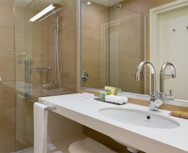 Номер стандарт с 1 двуспальной кроватью в DoubleTree by Hilton Moscow-Vnukovo Airport