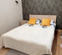 Двухместные апартаменты c 1 комнатой (двуспальная кровать) в Камчатка Суточно на улице Ленинская 67