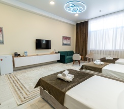 Просторный deluxe в Pullman D | M