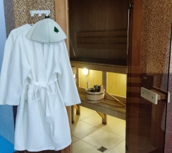 Номер улучшенный люкс в Залесный