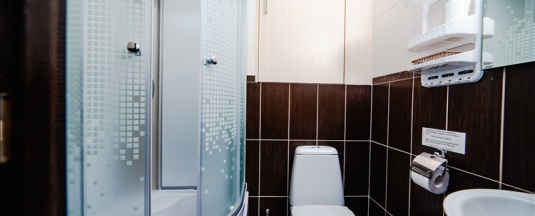 Стандарт Rate в Business Lounge Hotel