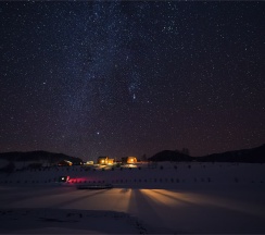 Царское Шале с Маралами в Басаргино