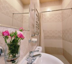 2-х местный стандарт  в Центральная