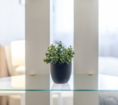 Квартира в RentPlaza