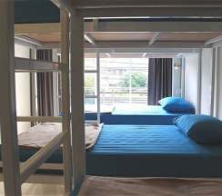 Кровать в общем номере (женский номер) в Ananas Phuket Central Hostel