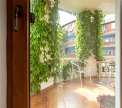 СТАНДАРТ С ВЫХОДОМ НА ТЕРРАСУ 2 этаж в У моря