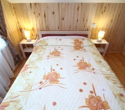 Двухместный номер с 1 кроватью в Алтынъ