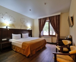 Двухместный номер Standard с 2 комнатами двуспальная кровать в Grand shale