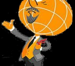 1-местный номер комфорт в Оптималь