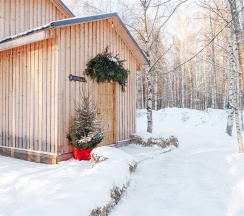 Коттедж представительского класса 8 в Поле