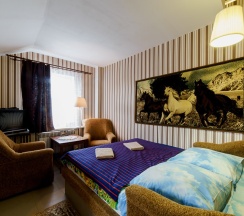 Двухместный с ванной в Родина