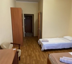 Классический в Дельфин