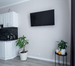 2-комнатные апартаменты улучшенные в Satin Home Apart на улице Грибалёвой
