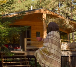 Коттедж "ASPEN HOUSE" одноэтажный на 4-5 человек в Осиновый Дом