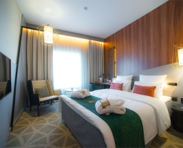 Номер Classic - с двуспальной кроватью в Mercure Саранск Центр