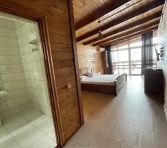 Двухместный номер Classic с балконом и с красивым видом из окна двуспальная кровать в Астан