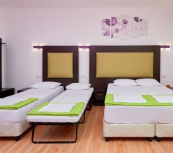 3-х местный без балкона в Диса