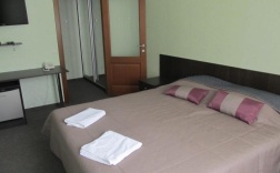 Комната стандарт с 1 двуспальной кроватью в Тверицы
