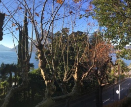 Двухместный номер Standard с видом на озеро 2 отдельные кровати в Hotel Firenze Lugano