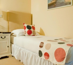 Одноместный номер Standard односпальная кровать в Beansheaf Hotel