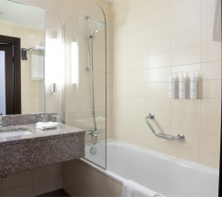 Deluxe Business Twin в Irkutsk City Center