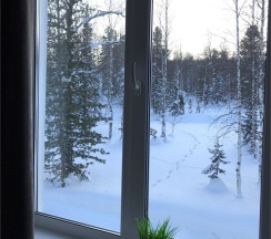 АПАРТАМЕНТЫ 2-ух местные однокомнатные. Весенняя 36 В № 3,6 в Smile