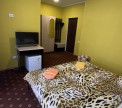 2-х местный стандарт в Южный