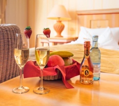 Двухместный номер Comfort с видом на море двуспальная кровать в Strandhotel Möwe