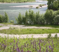 Четырёхместные апартаменты с 2 комнатами в Тихий берег