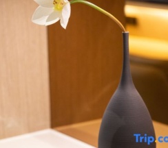 Люкс Deluxe c 1 комнатой в Chongqing Yitang Hotel
