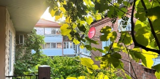 Джубга: Гостевой дом Аленка