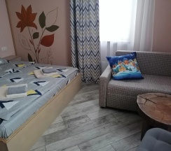 Номер Standard в Fikus