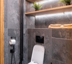 Однокомнатный Люкс 37 этаж 57 м² ЖК «Neva Towers» в InPremium Москва-Сити