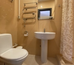 №9 Двухместный номер-студио с двуспальной кроватью в Eva Apartments