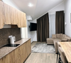 Апартаменты двухкомнатные четырехместные 2-х комнатные (делюкс) c балконом или без в Polikariya