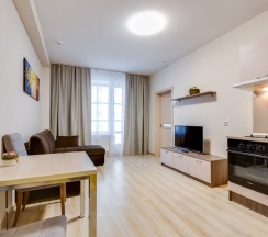 Апартаменты 40м в Salut-11